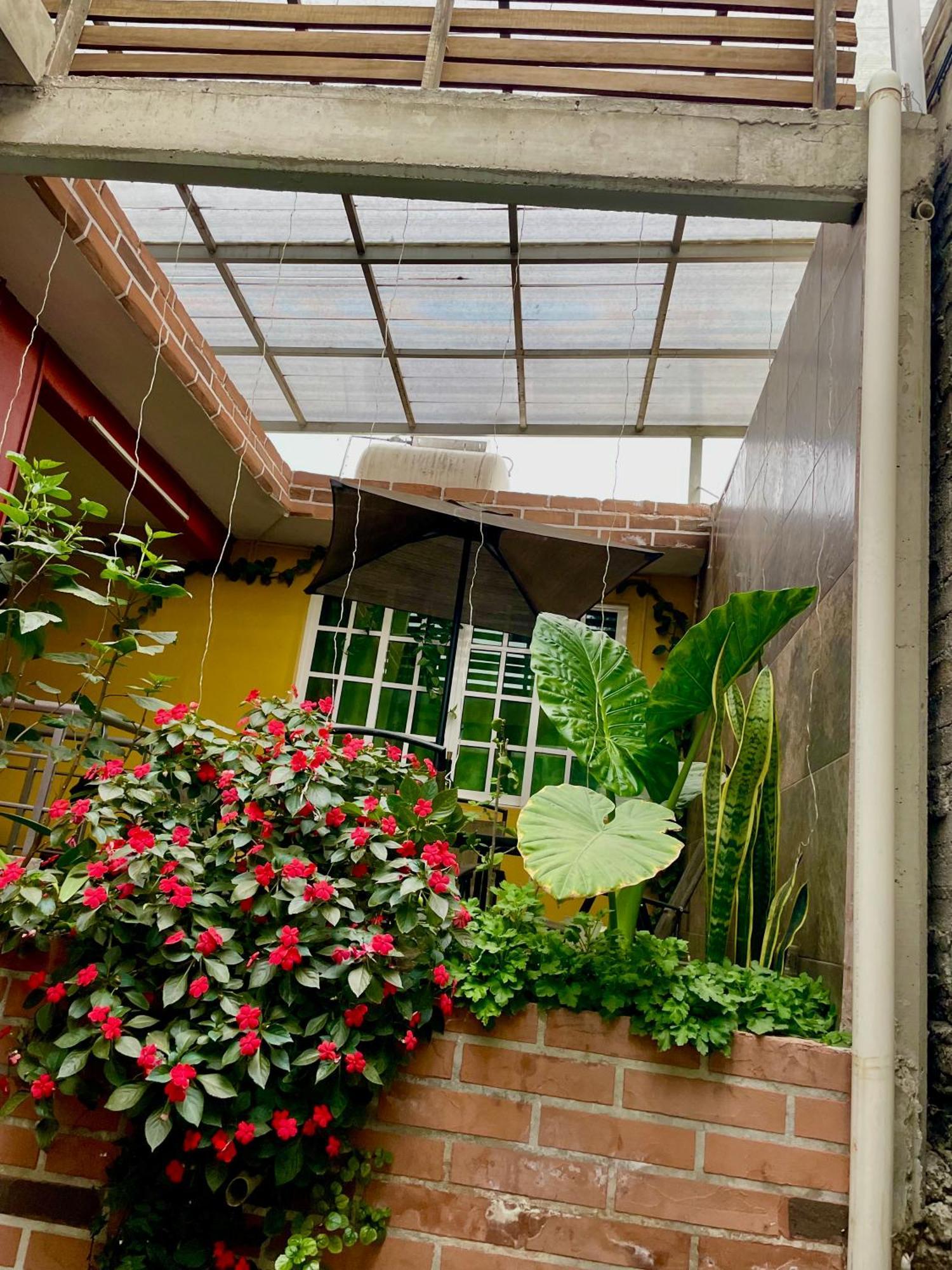 Hidden House Apartment Mexico City Exterior photo